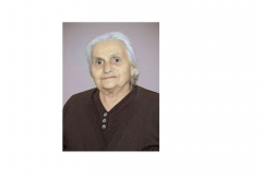 ԶԱՐԻԿ ԵՆՈՔԻ ԳԵՎՈՐԳՅԱՆ