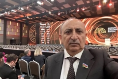 Ազիզ Ալաքբարլի. Պետք չէ խորամանկությունների գնալ, երբ խոսքը վերաբերում է Ադրբեջանին