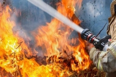 Էկոնոմիկայի նախարարությունը հորդորում է խոզանն այրելու փոխարեն կատարել երեսվար