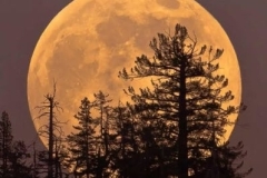 Հոկտեմբերի 6-ին և 7-ին, տեսանելի կլինի տարվա ամենագեղեցիկ լուսիններից մեկը՝ առաջին աշնանային գերլուսինը