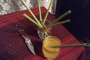 Էկոձողիկները որպես այլընտրանք պլաստիկե ձողիկներին