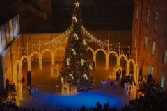 Քաջարանում տրվեց ամանորյա միջոցառումների մեկնարկը