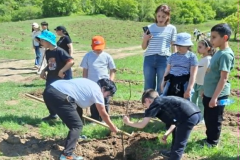 Կանաչ ապագա՝ փոքրիկների ձեռքերով. Մեղրիի դպրոցականները մասնակցել են «Հյուսիս-հարավի» ծառատունկին