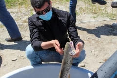 Սևանի ափին առաջին անգամ գործարկվել է իշխանի տեսակավորման սարքը