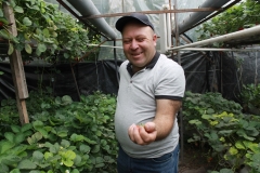 Կոկոսի մազիկների վրա աճեցված Արծվանիկի ելակը. «Ասում էին՝ մետաղագործը՝ ուր, ելակ աճեցնելը՝ ուր, բայց որոշեցի ու արեցի»