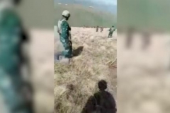 Տեսանյութը պարունակում է հանցագործության հատկանիշներ. ՄԻՊ