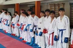 Մրցահարթակում այս անգամ կարատեիստներն էին