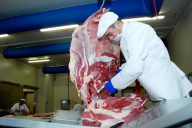 Պետությունը սպանդանոցների կառուցման համար աջակցության տարբեր ծրագրեր ունի