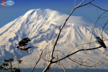 Հայաստանում առաջիկա օրերին եղանակը կտաքանա 3-5 աստիճանով