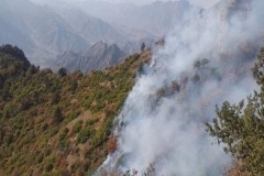 «Արևիկ» ազգային պարկի տարածքում հրդեհաշիջման աշխատանքները ժամանակավորապես դադարեցվել են