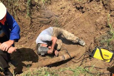 ՆՈՐԱՑՄԱՆ, ՎԵՐԱԿԱՆԳՆՄԱՆ ԸՆԹԱՑԻԿ ԱՇԽԱՏԱՆՔՆԵՐ