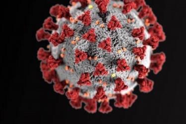  Սյունիքի մարզում ունենք նոր կորոնավիրուսային հիվանդության տարածման հետեւյալ պատկերը