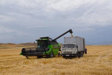 Հանրապետությունում շարունակվում են բերքահավաքի աշխատանքները. նախորդ տարվա համեմատ ցուցանիշները ցածր են