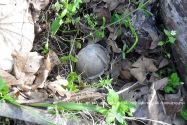 Գնդիկաբեկորային ավիառումբի պայթյունից քաղաքացի է տուժել