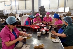 Արցախի Հանրապետությունում պտուղ-բանջարեղեն իրացմանը զգալիորեն նպաստում են վերամշակող ընկերությունները