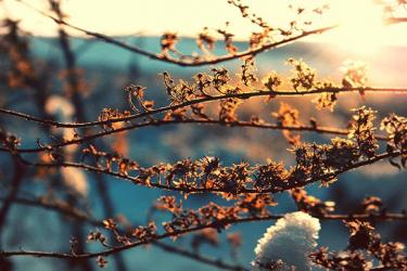 Հայաստանը գտնվելու է արևադարձային տաք օդային հոսանքների ազդեցության գոտում 