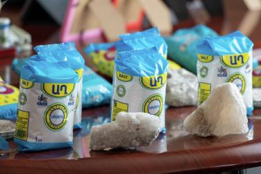 Ստուգումներ սննդի կետերում և 5 հազար տոննա տեխնիկական աղ. ո՞վ է ուզում թունավորել հայերին  