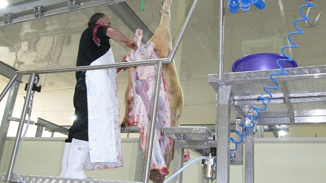 Կկազմակերպվեն սպանդանոցների անասնաբույժ-փորձագետների վերապատրաստման դասընթաց