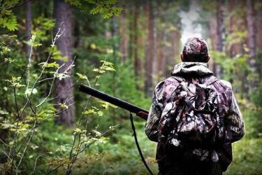 Վանեցյանը առաջարկեց 5 տարով արգելել որսը. Փաշինյանը կողմ է 