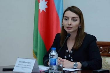 Հայաստանի վարչապետը, հնչեցնելով «Ղարաբաղի հայության» գաղափարը, վերջ է դրել բառախաղին. Ադրբեջանի ԱԳՆ