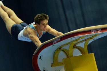 Մարզիչը գոհ է. Մարմնամարզության Հայաստանի տղամարդկանց թիմը գերազանց է հանդես եկել 