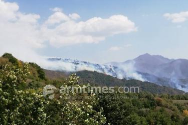 Խոշոր հրդեհ Սյունիքի մարզի անտառներում (լուսանկարներ)
