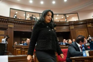 «Իմ քայլը» մերժեց կատուներին ու շներին պաշտպանելու օրինագիծը. Նաիրա Զոհրաբյանը զայրացավ  