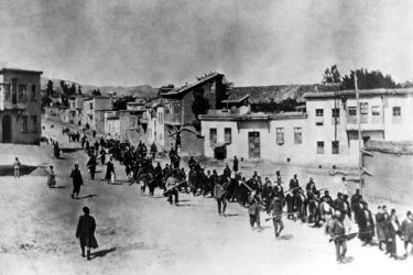 Թուրքիան պատրաստվում է հրատարակվելիք 25-հատորյակով ապացուցել Ցեղասպանության հետ «կապ չունենալը». թուրք լրագրողի հոդվածը