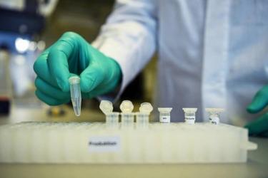 ԱՄՆ-ն այսօր կսկսի կորոնավիրուսի դեմ պատվաստանյութի փորձարկումները. 45 կամավոր կմասնակցի փորձերին