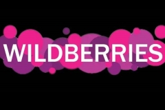 Wildberries-ը անվճար ուսուցողական սեմինար կկազմակերպի Կապանում