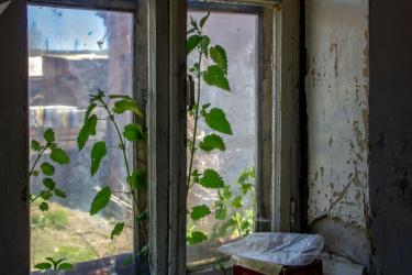 Սյունիքում տղամարդ է կախվել. դին հայտնաբերել են ընտանիքի անդամները  