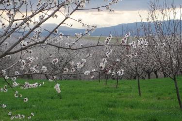 Սյունիքի հովտային գոտում ջերմաստիճանը կբարձրանա