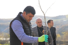 Ծառատունկ՝ Կապանի Գործարանային փողոցում