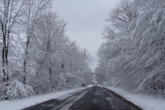 Սյունիքի, Լոռու, Տավուշի մարզերում ձյուն է տեղում