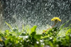 Ժամանակ առ ժամանակ սպասվում է անձրև․ ինչպիսի եղանակ է սպասվում առաջիկա օրերին