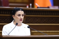Իրինա Յոլյանը չընտրվեց ԱԺ տարածքային կառավարման և շրջակա միջավայրի պահպանության հարցերի հանձնաժողովի նախագահ