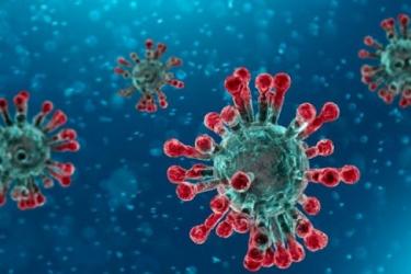 Աշխարհում կորոնավիրուսից առողջացել է 99 014 մարդ, մահացել է 14 698-ը