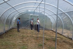 Ֆրանսիայի հայկական հիմնադրամը զոհված ազատամարտիկների  և կարիքավոր ընտանիքներին  ջերմոց նվիրեց
