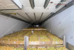 Լարսում բեռնատարներում տոննաներով միրգը փչանում է. ռուսական կողմը խոչընդոտում է. ահազանգ