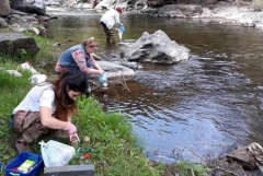 Հայ գիտնականները նոր դեղատոմս են առաջարկում Սևանա լիճը ճահճացումից փրկելու համար