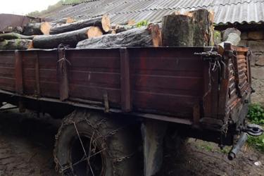 «Հայանտառ» ՊՈԱԿ-ի «Սյունիքի անտառտնտեսություն» մասնաճյուղի երեք աշխատակցի մեղադրանքներ են առաջադրվել