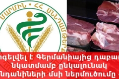 Արգելվել է Գերմանիայից դաբաղի նկատմամբ ընկալունակ կենդանիների մսի ներմուծումը ՀՀ