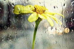 Մարտի 17-18-ին, 20-21-ին առանձին շրջաններում սպասվում են կարճատև տեղումներ ու ամպրոպ