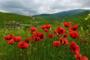 Թաքուն սարսուռներ կան այս դաշտերում