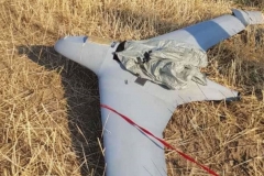 ՀՀ օդային տարածքում խոցվել է հակառակորդի երկու ԱԹՍ. Շուշան Ստեփանյան