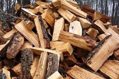 «Ժողովուրդ». Փայտի և գոմաղբի գինը բարձրացել է. ջեռուցման այլըտրանքային տարբերակ են փնռրում