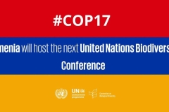 2026 ԹՎԱԿԱՆԻՆ ՀԱՅԱՍՏԱՆԸ ՀՅՈւՐԸՆԿԱԼԵԼՈւ Է ԿԵՆՍԱԲԱԶՄԱԶԱՆՈՒԹՅԱՆ ԿՈՂՄԵՐԻ ՀԱՄԱԺՈՂՈՎԸ` COP17-ը