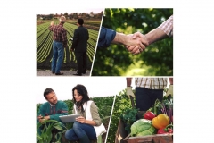 Հայտարարություն