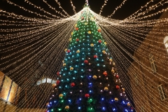 Դեկտեմբերի 25-ին հանդիսավորությամբ վառվեցին Քաջարան համայնքի գլխավոր տոնածառի լույսերը