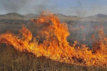 Հրշեջ-փրկարարները մարել են խոտածածկ տարածքներում բռնկված հրդեհները